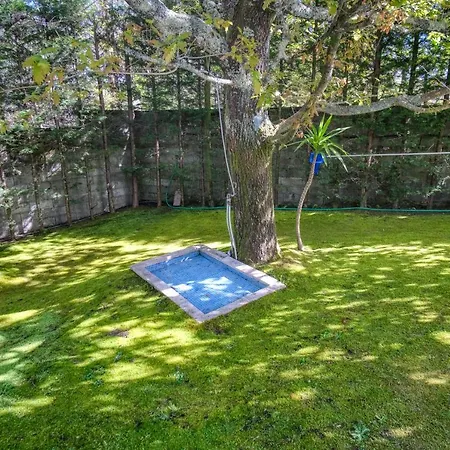 Pensjonat Casa Dos Carvalhos *